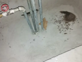 古交卫生间测漏水价格明细